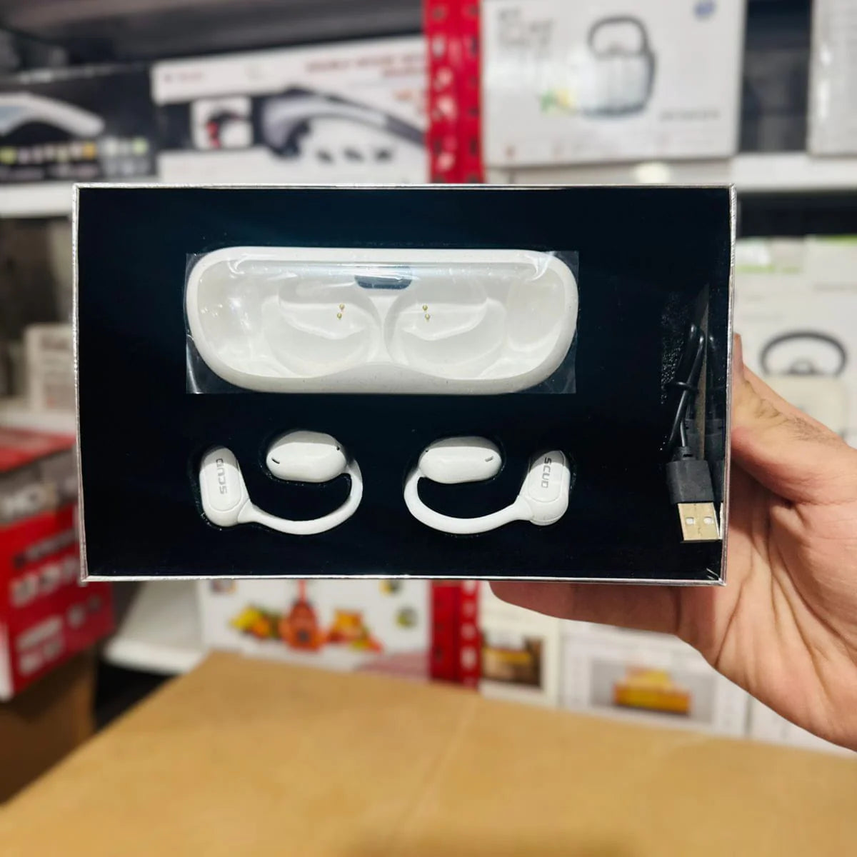 Hoshigami Plan EarPods